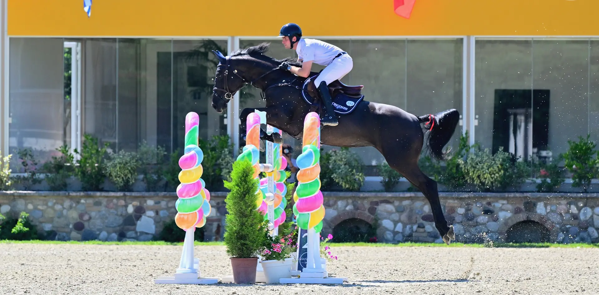 Saffira vd Heyveldhoeve, ridden by Bryan Balsiger