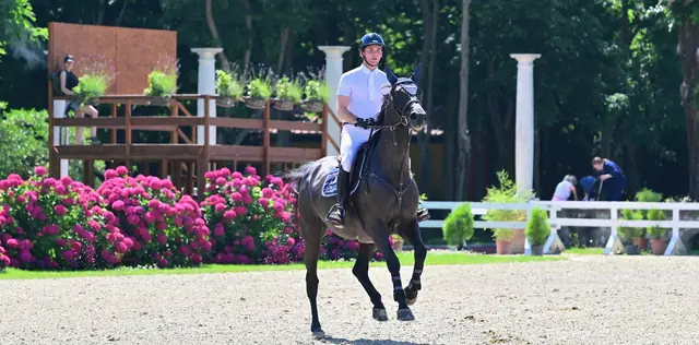 Saffira vd Heyveldhoeve, ridden by Bryan Balsiger