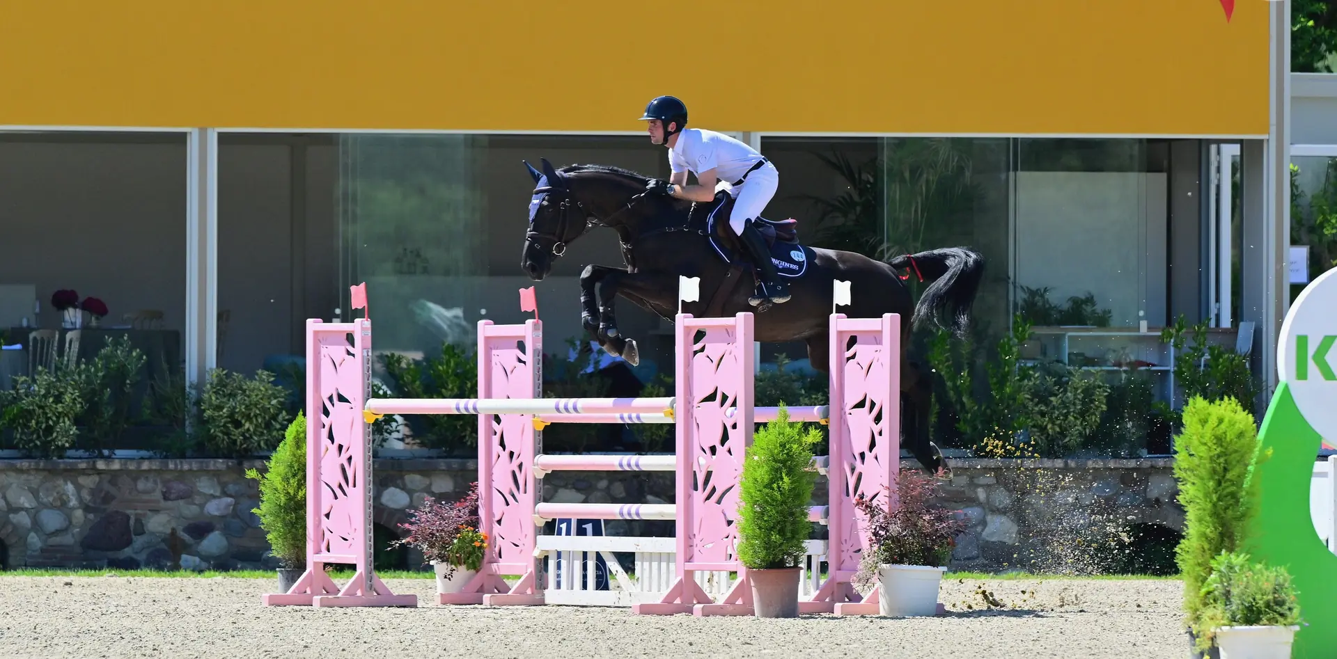Saffira vd Heyveldhoeve, ridden by Bryan Balsiger