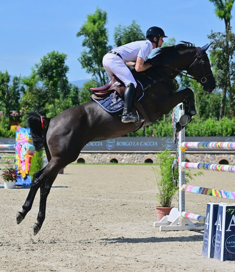 Saffira vd Heyveldhoeve